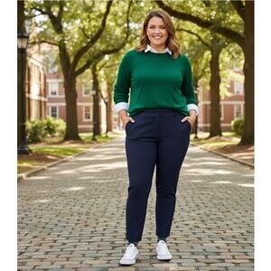 Quince Pants Womens Plus Size 1X Petite Stretchy Pull On Work Office Casual